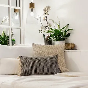 Trastevere Gem Cozy Light-filled Retreat Rome